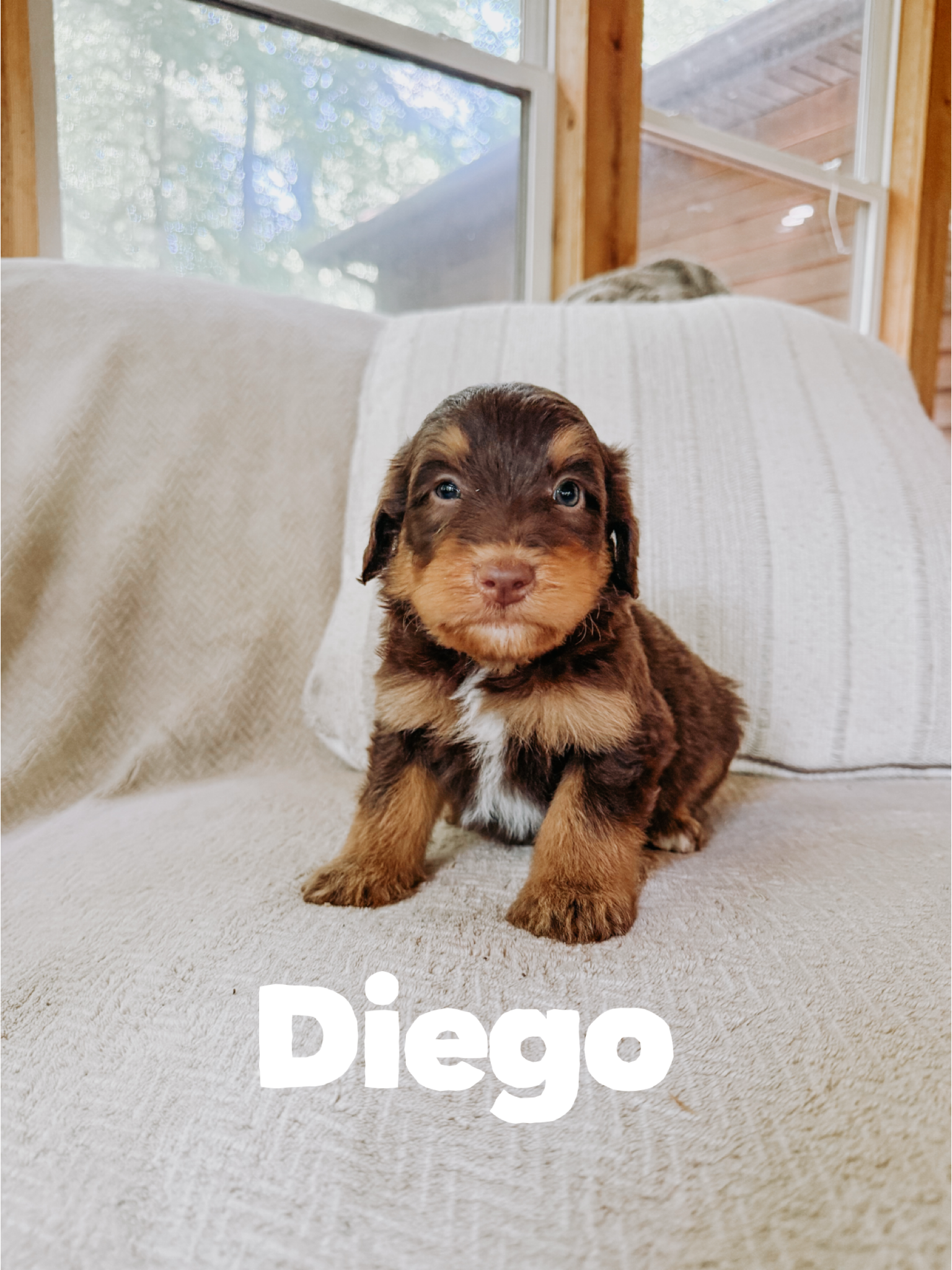 Diego  2